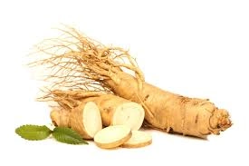 Ginseng root pieces, a natural ingredient in GlycoMelt