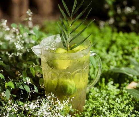 Green tea leaves, a natural ingredient in GlycoMelt